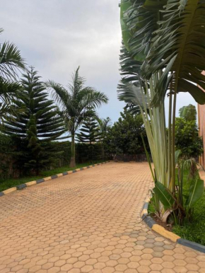 Explore Iwacu Stay